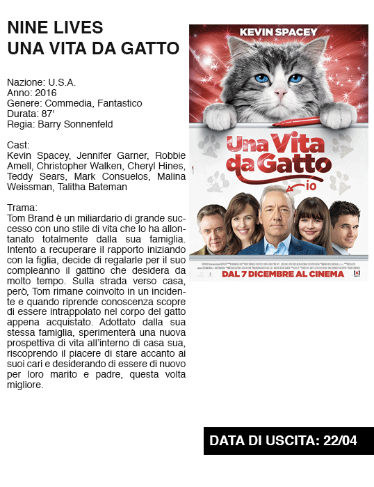 UNAVITADAGATTO.gif